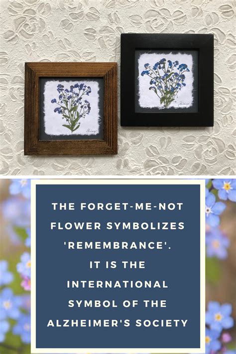 8x8 Forget Me Not Remembrance Pressed Flower Art Forget Me Nots Flowers Pressed Flowers