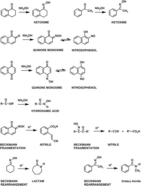 Reactions of carbonyl groups with hydroxylamine. | Download Scientific ...