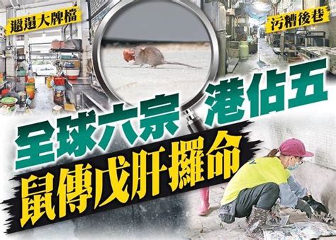 東方日報a1：鬧市衞生差政府防疫渣 增散播風險恐交叉感染 Oncc 東網 Line Today