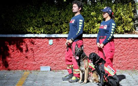 Cruz Roja Puebla Env A Binomios Caninos A Turqu A Por Sismo Telediario