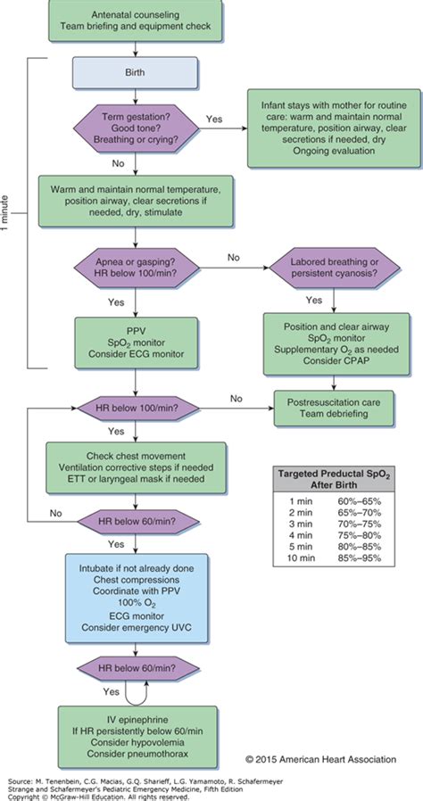 Neonatal Resuscitation Anesthesia Key