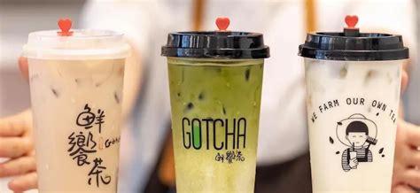 Gotcha Bubble Tea Oakville Shops