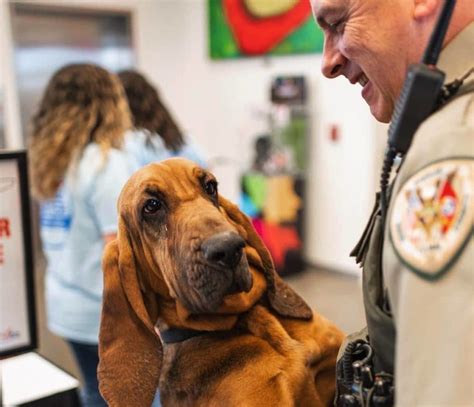 Oc K9 Sophia Receives Donated Body Armor Radio Nwtn