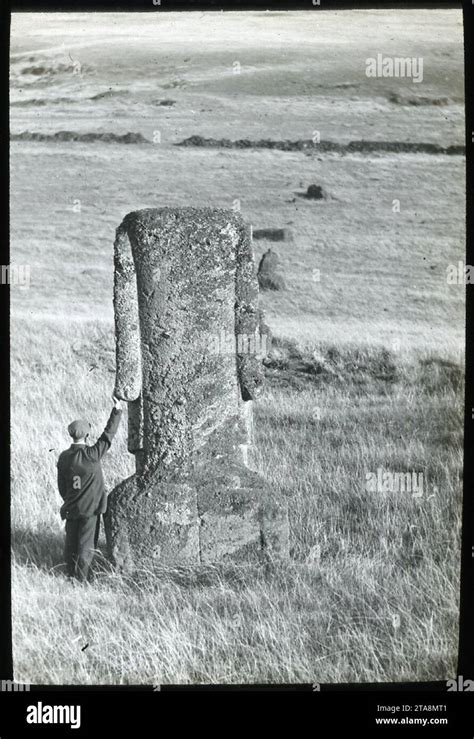 View Of A Back Of Moai With A Man Standing On The Left Of The Sculpture