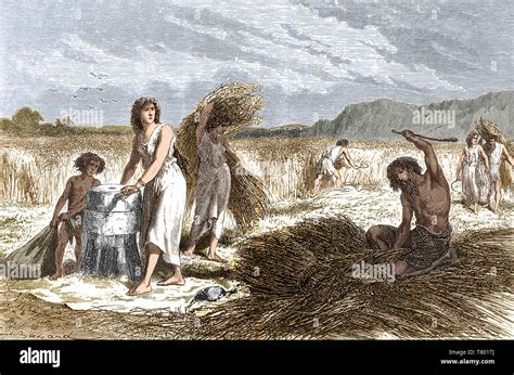 Iron age farming hi-res stock photography and images - Alamy