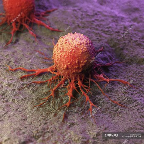 Illustration Of Abstract Cancer Cell With Tentacles Digitally