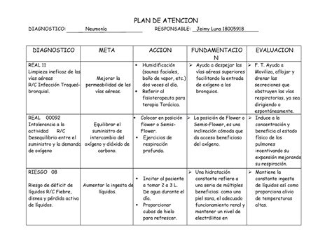 Pae Neumonia Plan De Atencion Diagnostico Neumon A Responsable