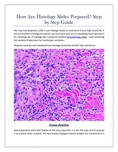 How Are Histology Slides Prepared? Step by Step Guide by lucas bell - Issuu