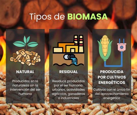 Tipos De Biomasa Natural Residual Y Producida Por Cultivos