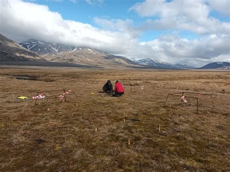 TERRA - Understanding climate, herbivore and belowground feedbacks - UNIS