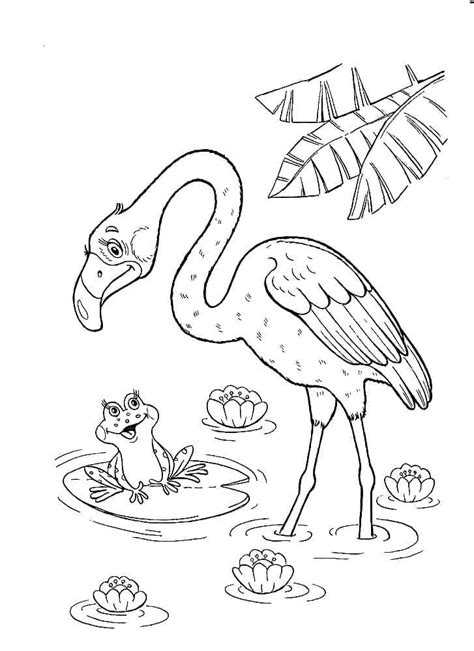 Coloriage Grenouille et Flamant Rose télécharger et imprimer gratuit