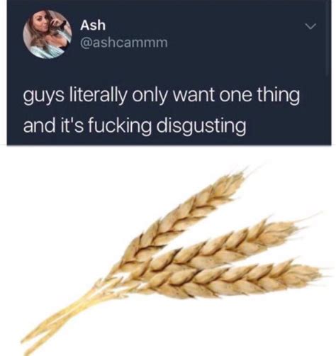 Can we still trust girls? : r/wheatbadcorngoood