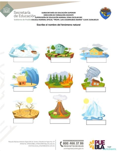 Ecosistemas Fichas Interactivas Y Ejercicios Online Topworksheets