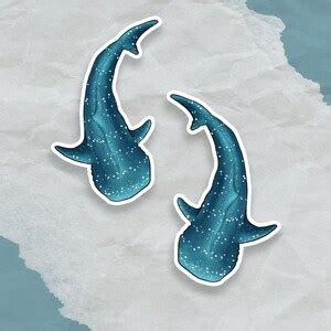 Whale Shark Stickers Pack of 2 Marine Life Gifts and Decor - Etsy