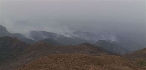 Villa Montes en alerta por expansión de incendio que arrasó 30 000