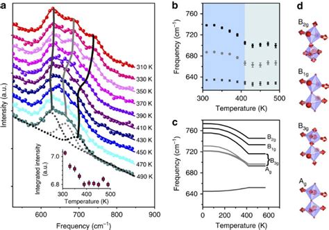 Enhanced Spin Phonon Electronic Coupling In A D Oxide Nature