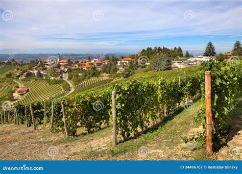 Vineyards On The Hills And Small Town In Italy Royalty Free Stock