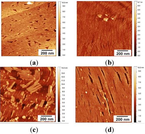 Fungal Hydrophobin Proteins Produce Self Assembling Protein Films With Diverse Structure And