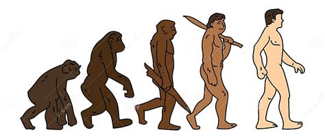 Human Evolution. Monkey To Man Doodle Cartoon Concept Stock Vector ...