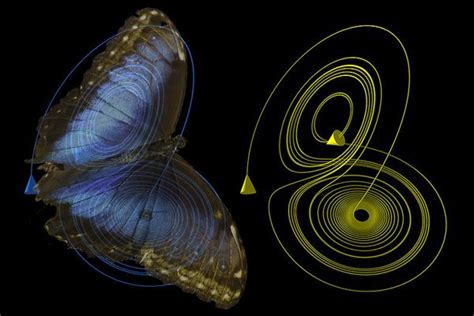 Diagrama Efecto Mariposa Teoría Del Caos Mariposas Tatoo