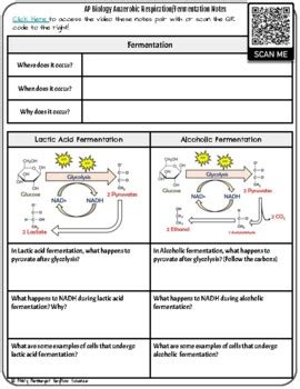 Anaerobic Respiration Fermentation Video Notes Worksheet AP Biology