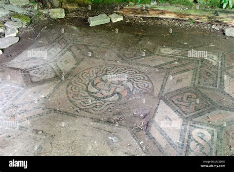 Roman Mosaic In Spoonley Wood Winchcombe Cotswolds Gloucestershire