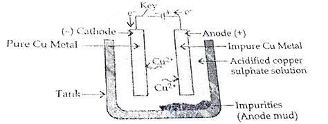 Doubt Solutions Maths Science Cbse Ncert Iit Jee Neet