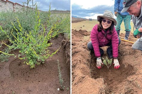 Changing The Environment Through Hard Work Taiwanese Tree Planter In