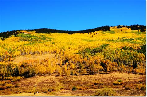 Fall Colors At Kenosha Pass Colorado 32 Edjimy Flickr