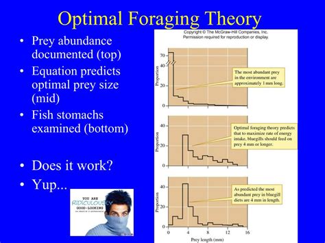 Ppt Energynutrient Relations Ch 7 Powerpoint Presentation Free