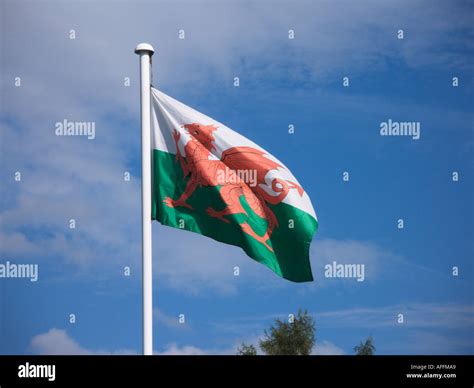 Welsh Flag Hi Res Stock Photography And Images Alamy