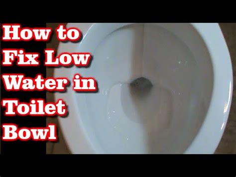 Toilet Bowl Water Level Drops Overnight