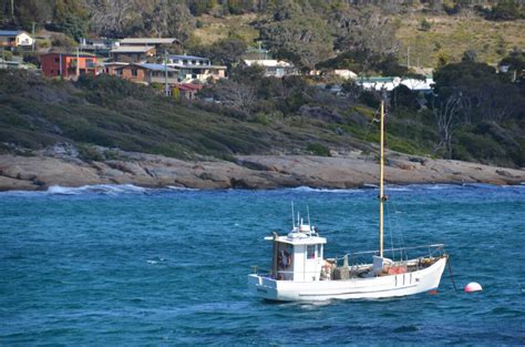 Bicheno Caravan Park - Book Caravan Parks Tasmania