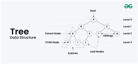 Tree Data Structure - GeeksforGeeks