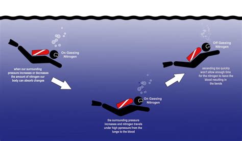 Most Common Serious Diving Injury Is Often Called The Bends