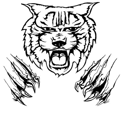 Wildcat clipart claw, Wildcat claw Transparent FREE for download on ...