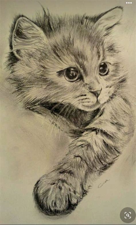 A Pencil Drawing Of A Kitten With Its Paw On It S Back And Eyes Wide Open