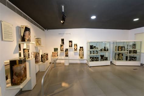 Manipal Museum Of Anatomy And Pathology Manipal Academy Of Higher