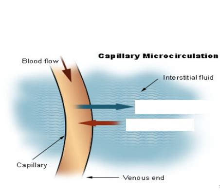 Iv Fluids Test Flashcards Quizlet