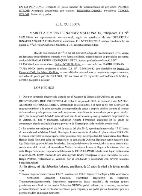 Modelo De Demanda De Indemnización Por Daños Y Perjuicios Pdf