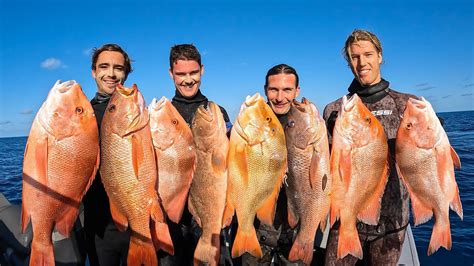 RED EMPEROR HEAVEN Spearfishing Australias Great Barrier Reef YouTube