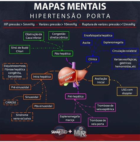 Diagnostico De Enfermagem Para Hipertensao BRAINCP