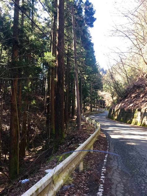 林道奥野線と林道荒井線。神奈川県緑区の隧道トンネルを調査！ 休日ぶらぶら散歩