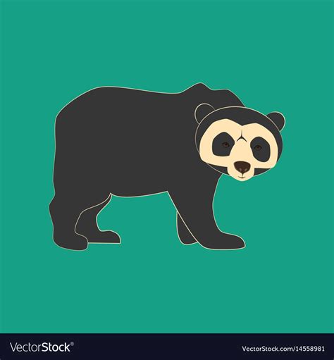 Spectacled Bear