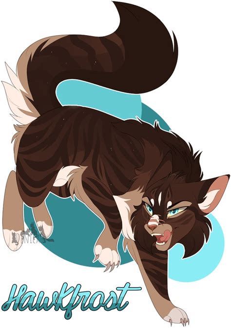 Hawkfrost Warriors Cats 6100 By Denicah On Deviantart Warrior