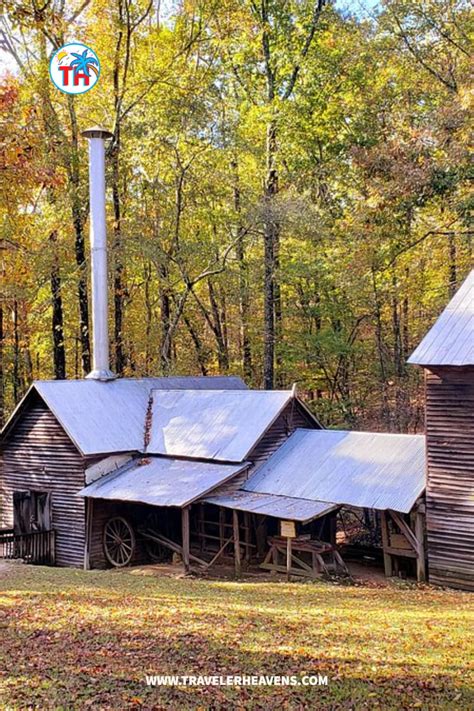 Things to Do in Jackson Georgia - Traveler Heavens