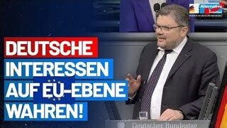 Deutsche Interessen Auf EU Ebene Wahren Prof Dr Michael Kaufmann