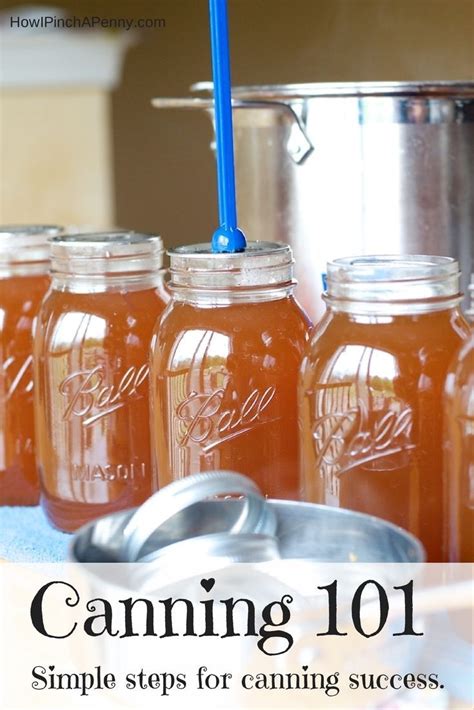 Canning 101 Simple Steps For Canning Success Canning Recipes