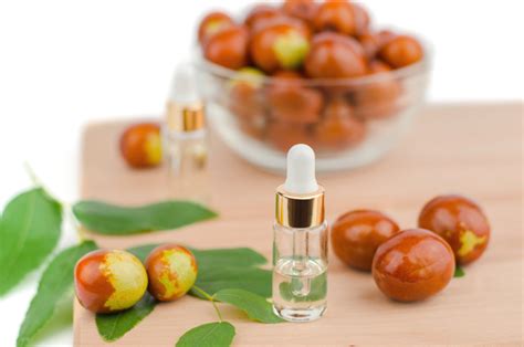 Aceite De Jojoba Propiedades Y Para Qu Sirve El Corte Ingl S