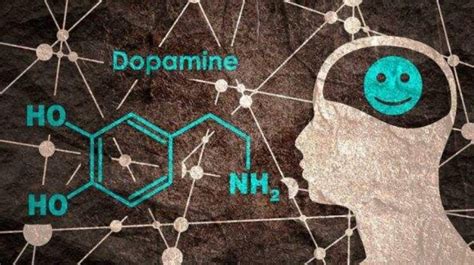 让人快乐的是多巴胺还是内啡肽 范小厝